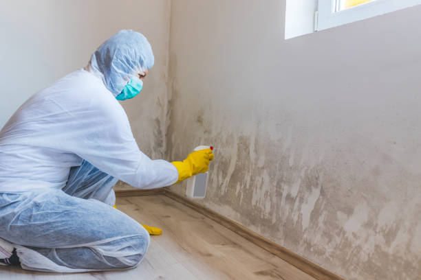 Hvac And Air Duct Mold Remediation inspection of HVAC system in Plainfield